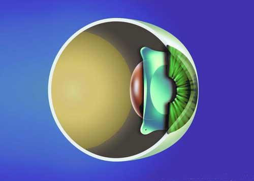 u=98451271,3614338335&fm=26&gp=0.jpg